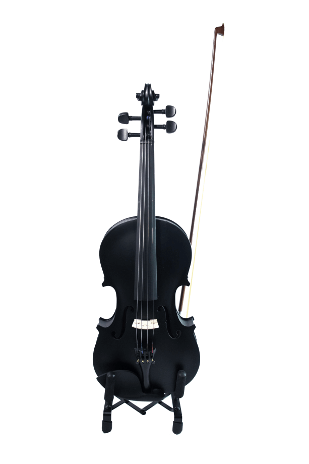 Violín para principiante Andolini | A-VIO 4/4