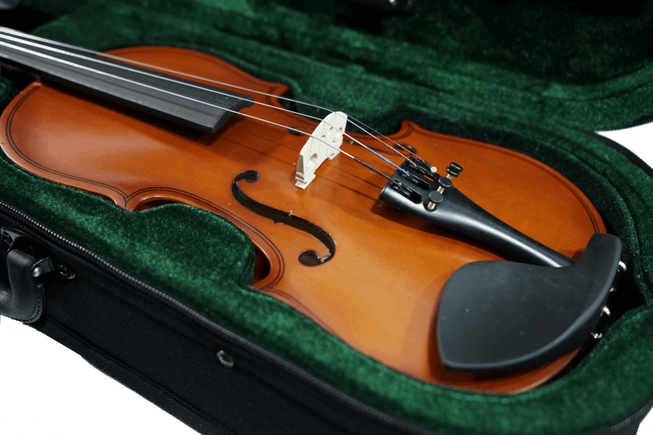 Violín para principiante Andolini | A-VIO 4/4