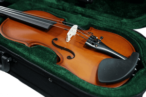Violín para principiante Andolini | A-VIO 4/4