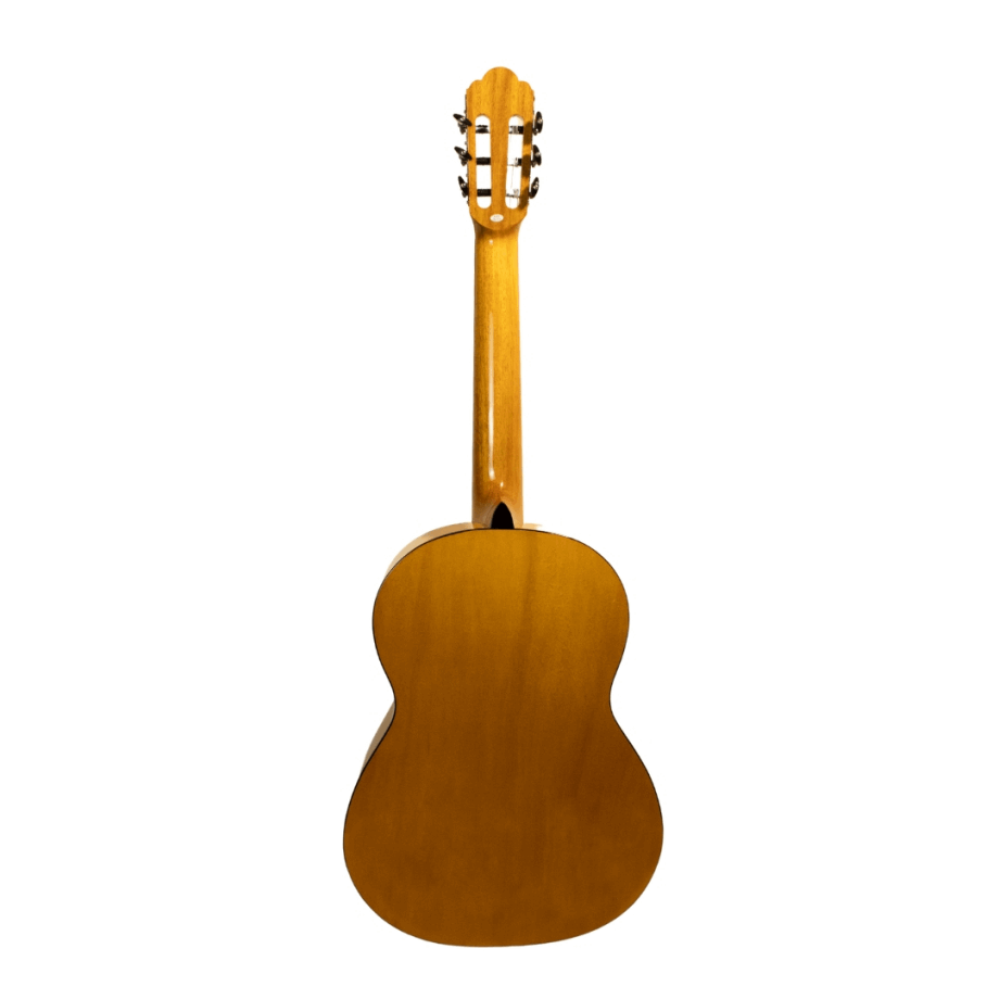 Guitarra Acústica Ángel López | Alicante F
