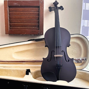 Violín para principiante Andolini | Colores