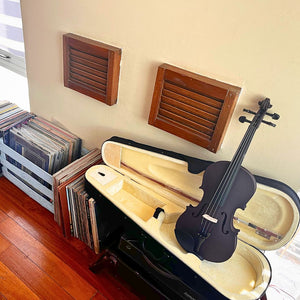 Violín para principiante Andolini | Colores