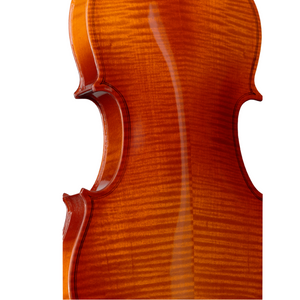 Violín Eléctrico-Acústico Stagg | VN-4/4EF