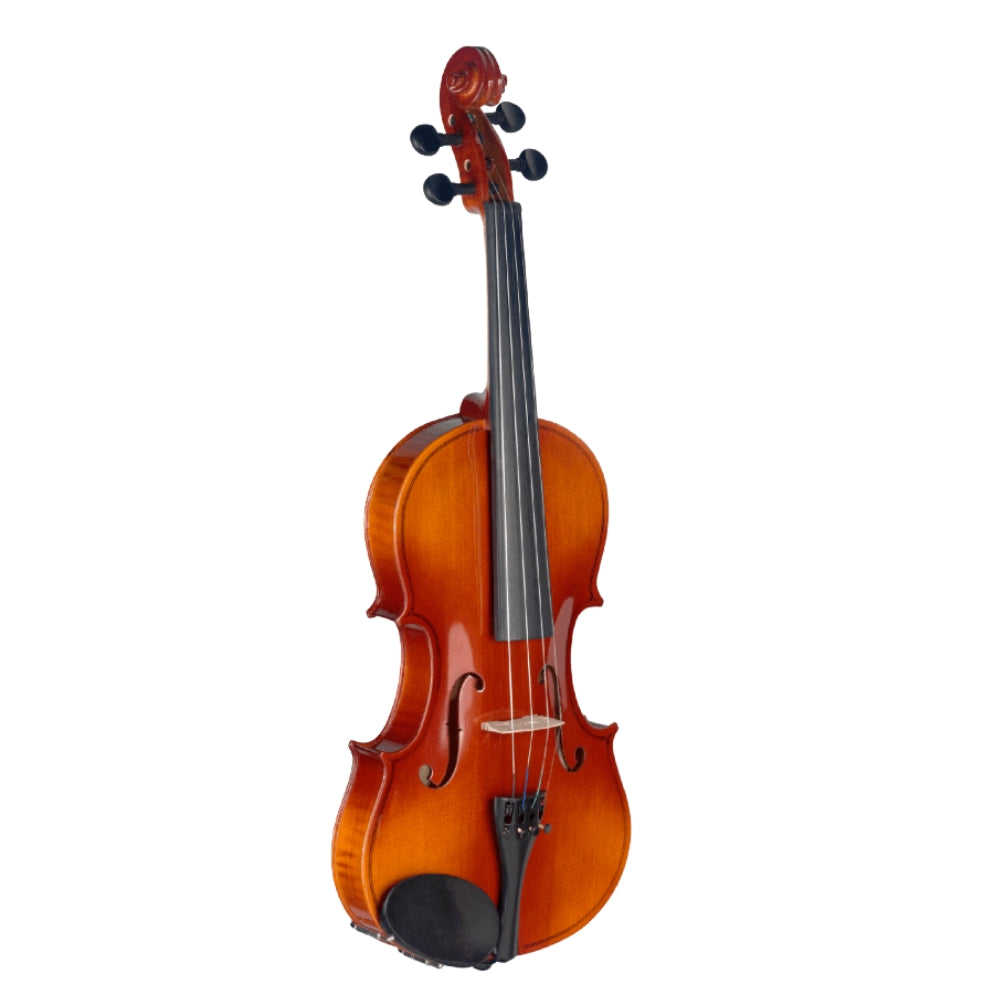 Violín Stagg | VN-4/4 L