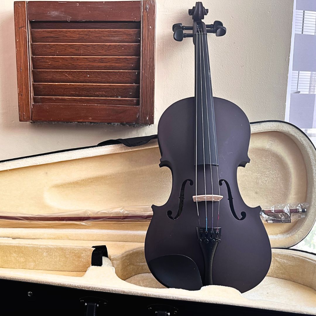 Violín para principiante Andolini | Colores