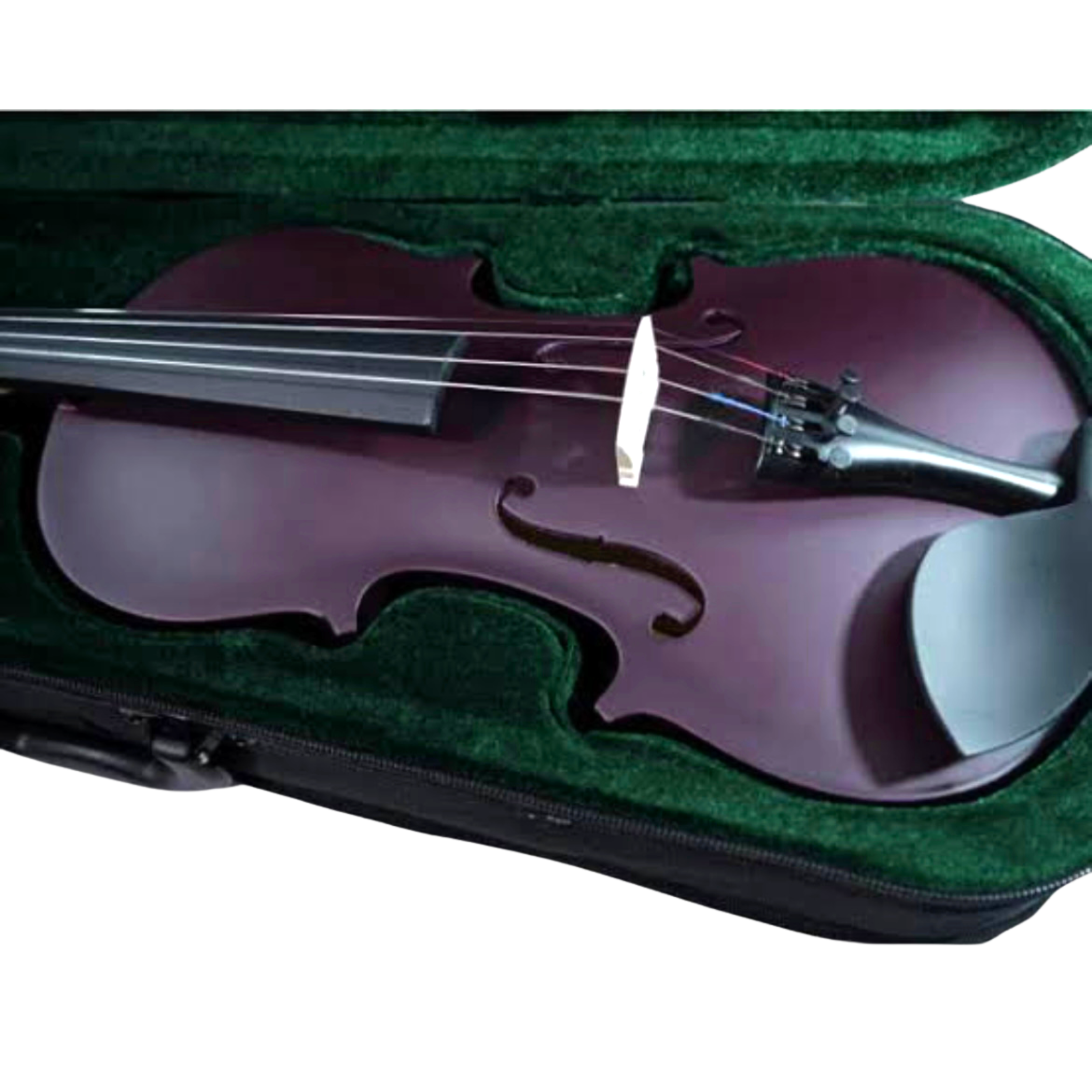 Violín para principiante Andolini | Colores