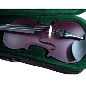Violín para principiante Andolini | Colores