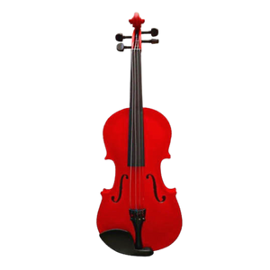 Violín para principiante Andolini | Colores