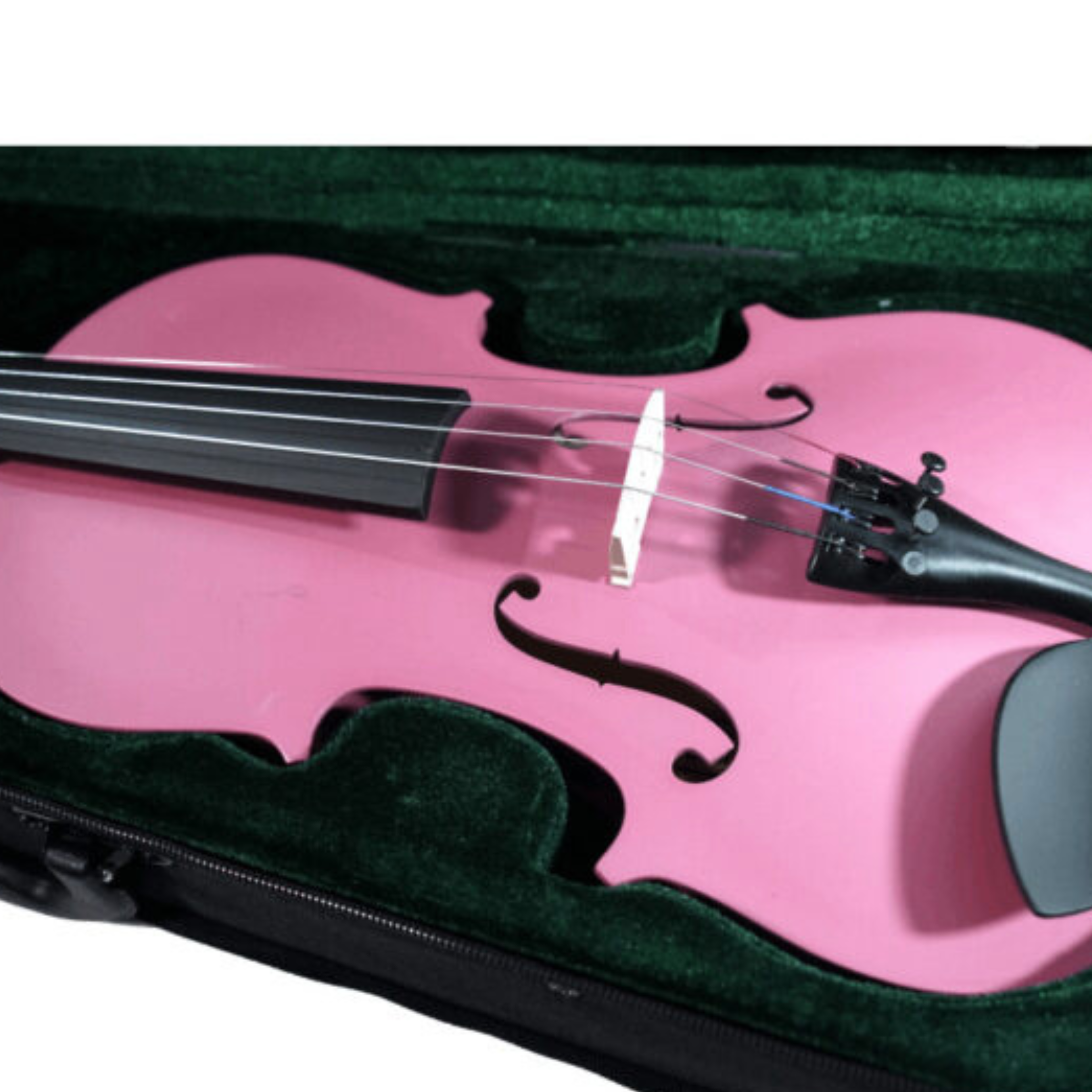 Violín para principiante Andolini | Colores