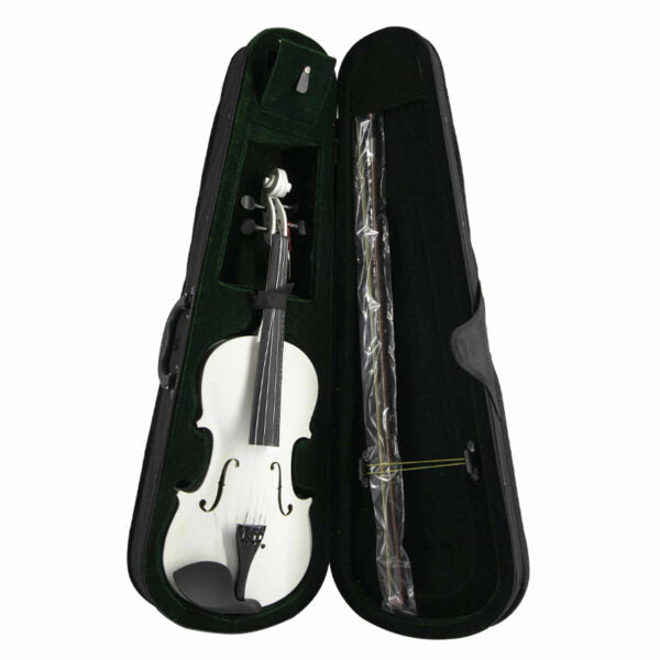 Violín para principiante Andolini | A-VIO 4/4