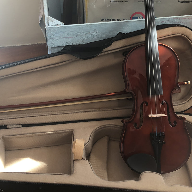 Palatinio VN 450 I Violín