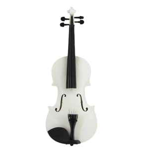 Violín para principiante Andolini | A-VIO 4/4